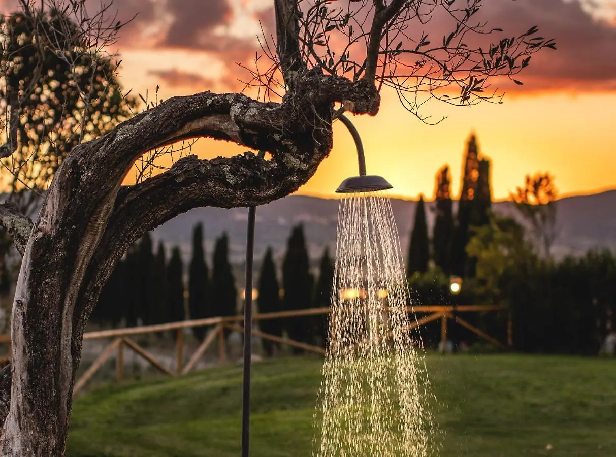 Farm stay Le Fraine - Agriturismo & Olives Glamping Villa Santa Luce